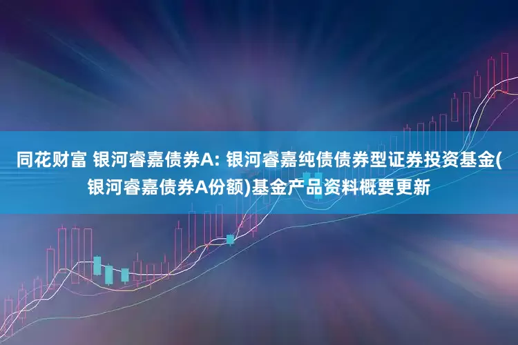 同花财富 银河睿嘉债券A: 银河睿嘉纯债债券型证券投资基金(银河睿嘉债券A份额)基金产品资料概要更新