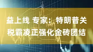 益上线 专家：特朗普关税霸凌正强化金砖团结