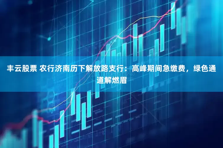 丰云股票 农行济南历下解放路支行：高峰期间急缴费，绿色通道解燃眉