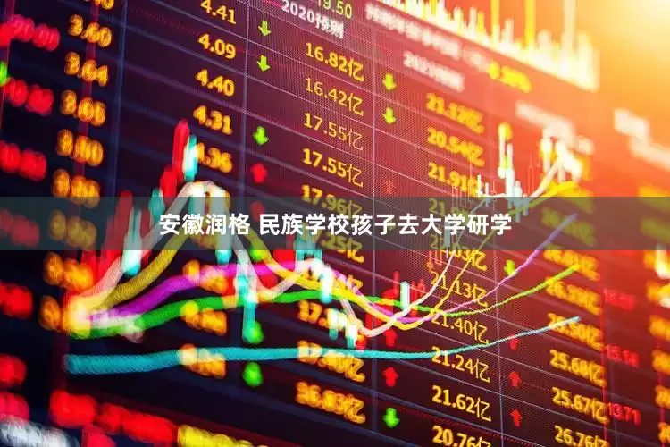 安徽润格 民族学校孩子去大学研学