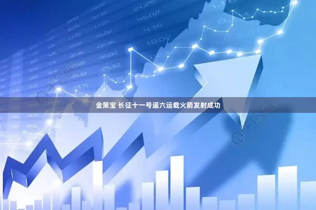 金策宝 长征十一号遥六运载火箭发射成功